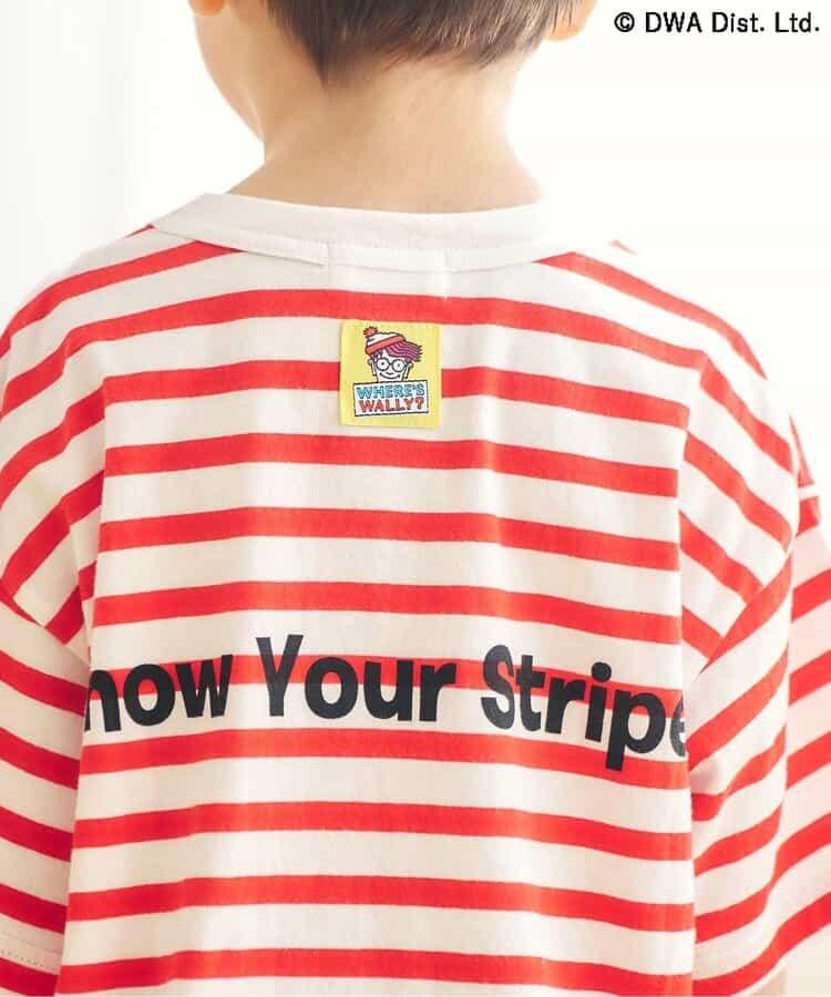 170604238