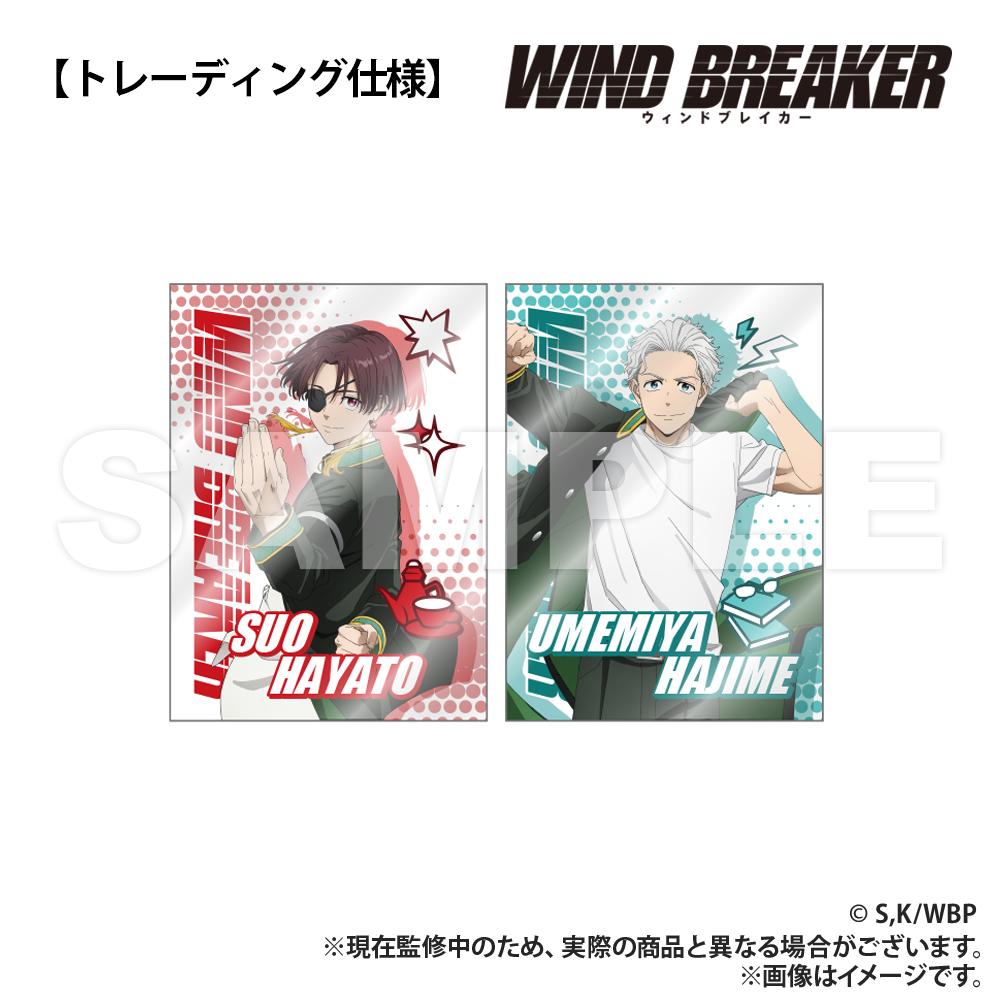 252080569