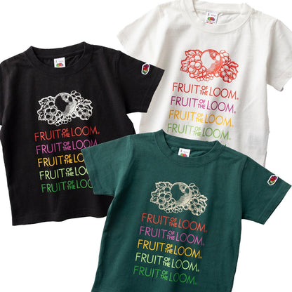 173255531