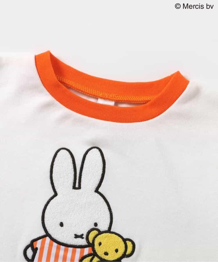 169677691