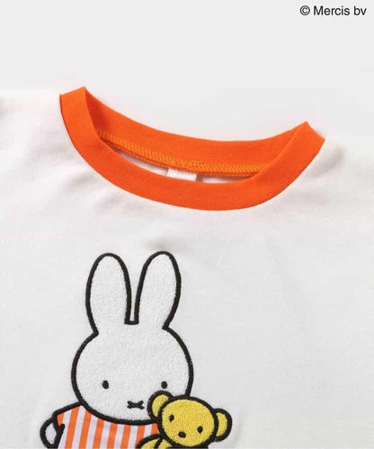 169677691