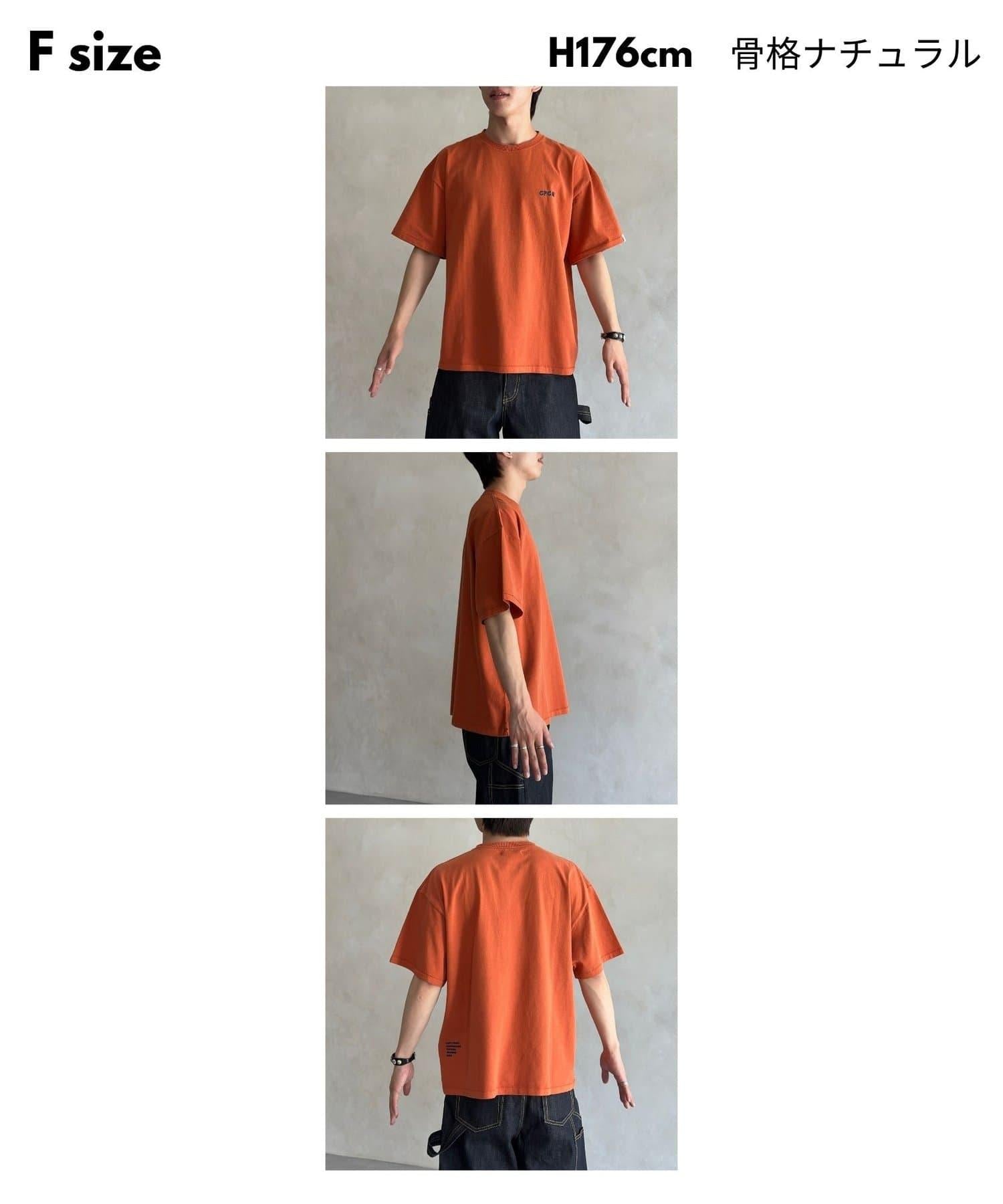 162778481