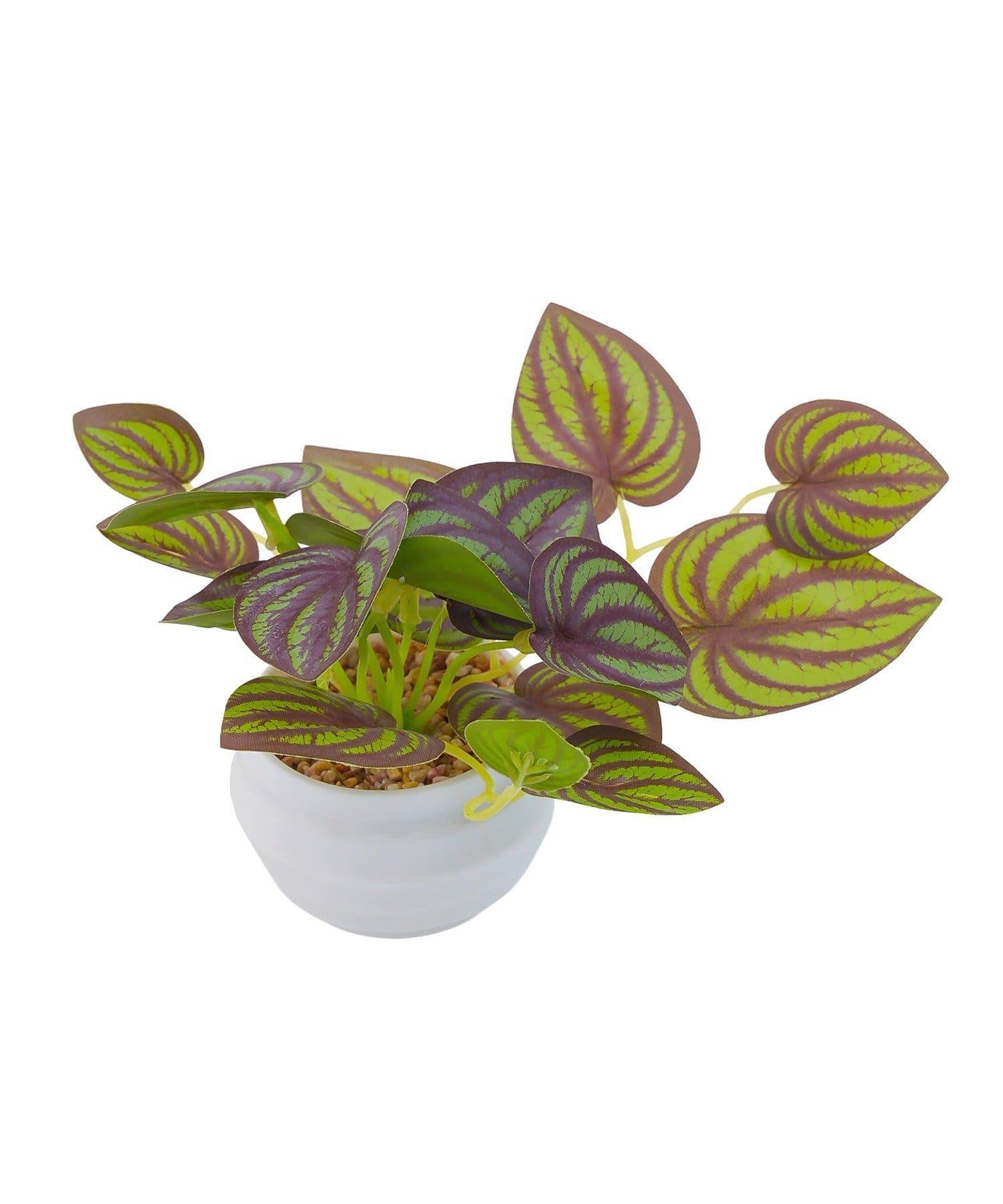 172424343