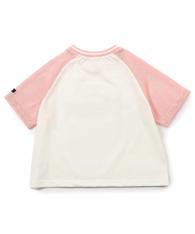 170877796