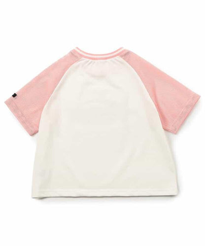 170877796
