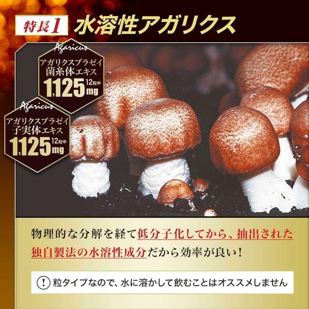 172564124