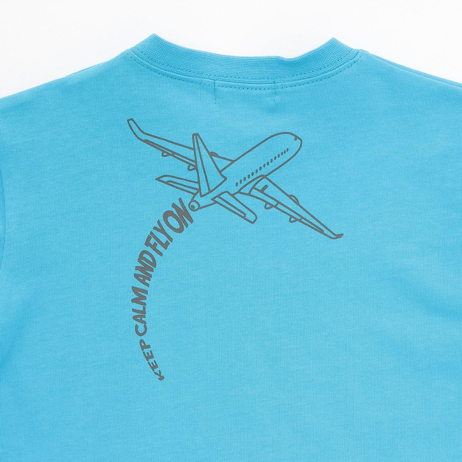 167972229