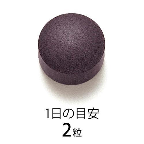 172406282