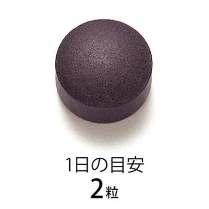 172406282