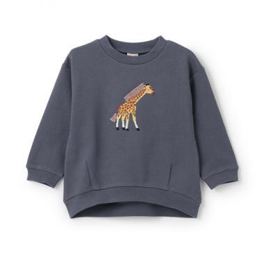 162850204