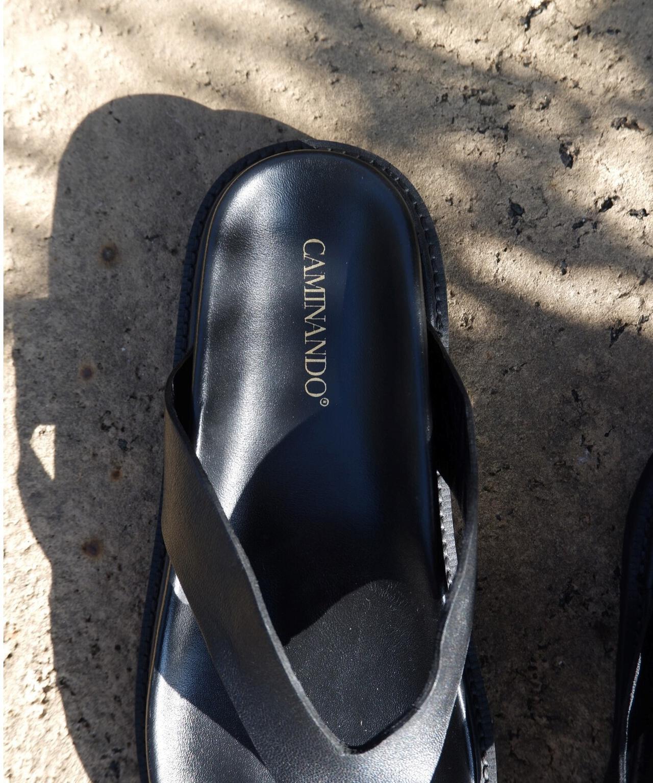 160219658