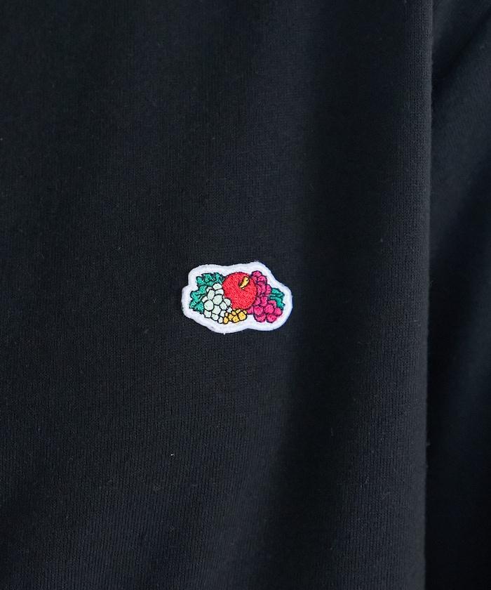 172636669