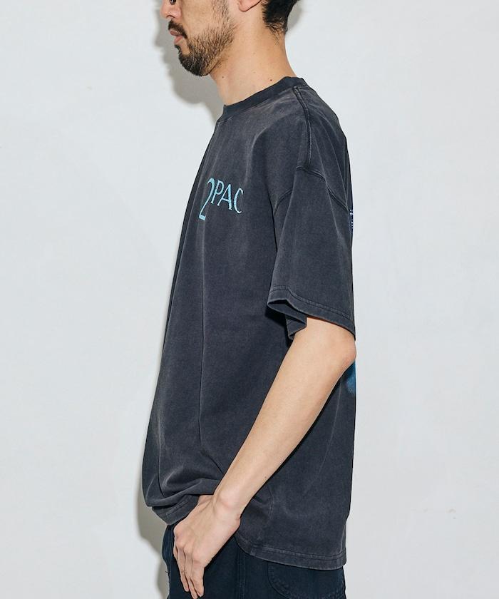 170337206