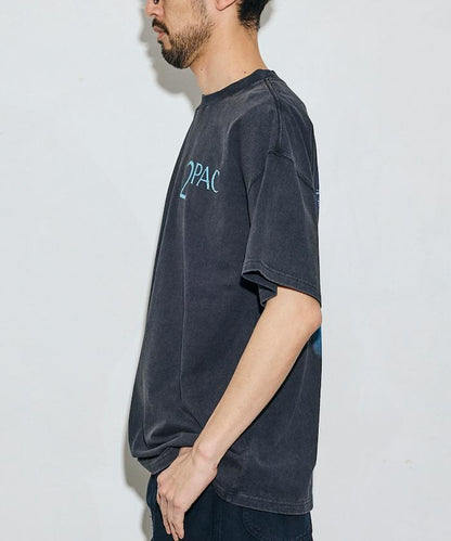170337206