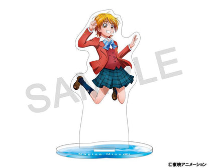262284237
