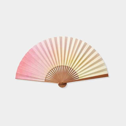 169242873