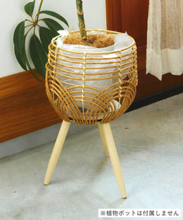 Interior & Decor