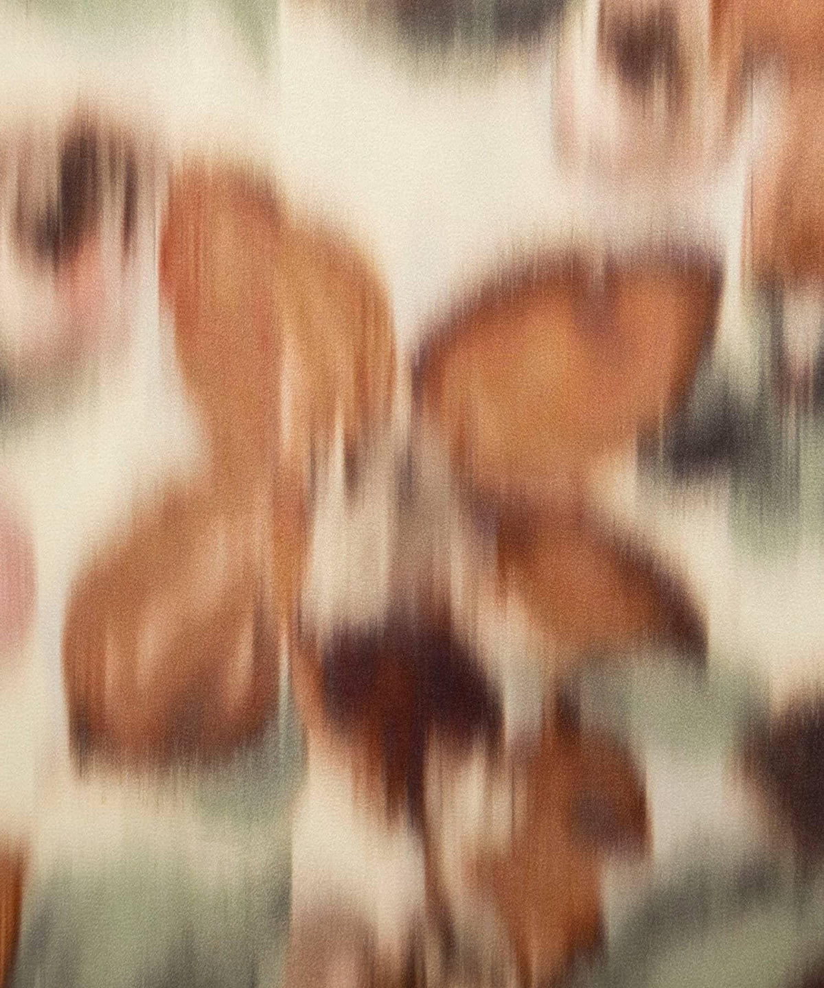 172938400