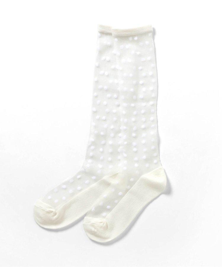 150169751