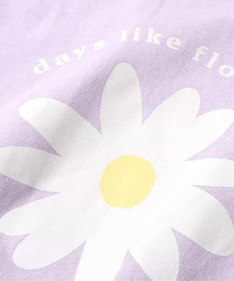 168559355