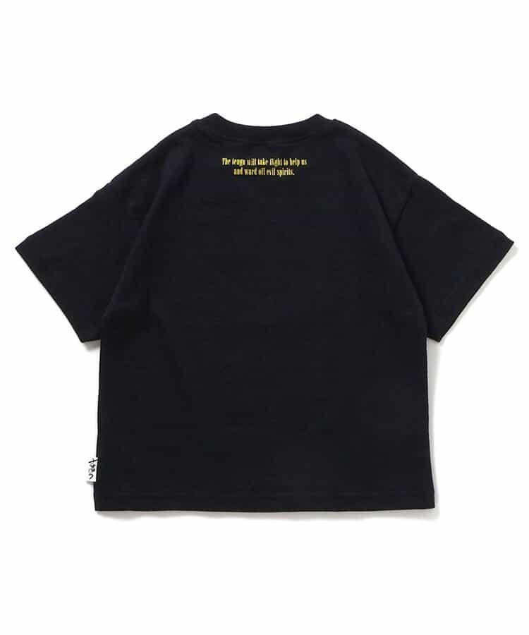 169680121