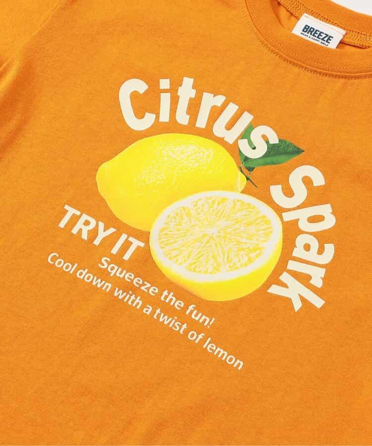 170263488