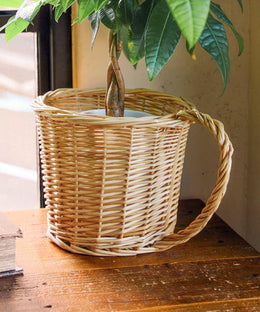 Household Goods