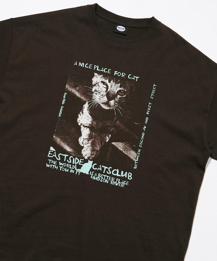 169481614