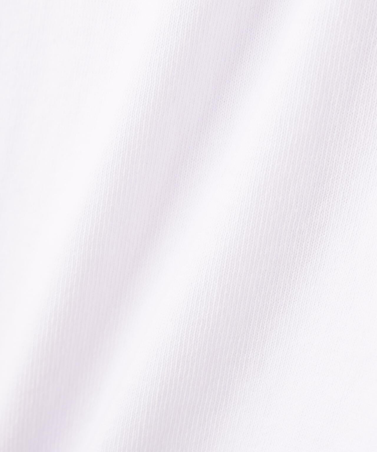 173036702
