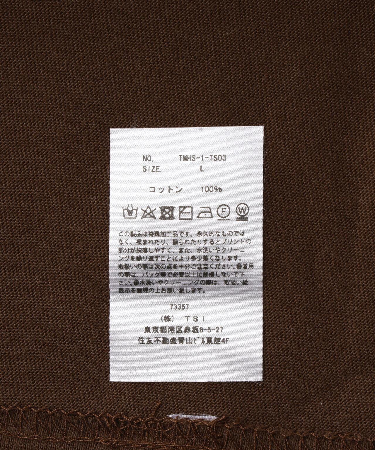 163026381