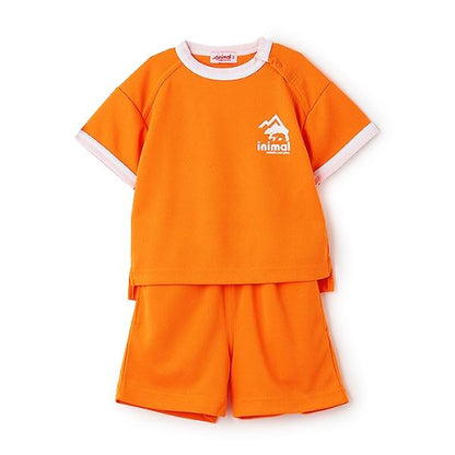 162966431