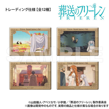 146474780
