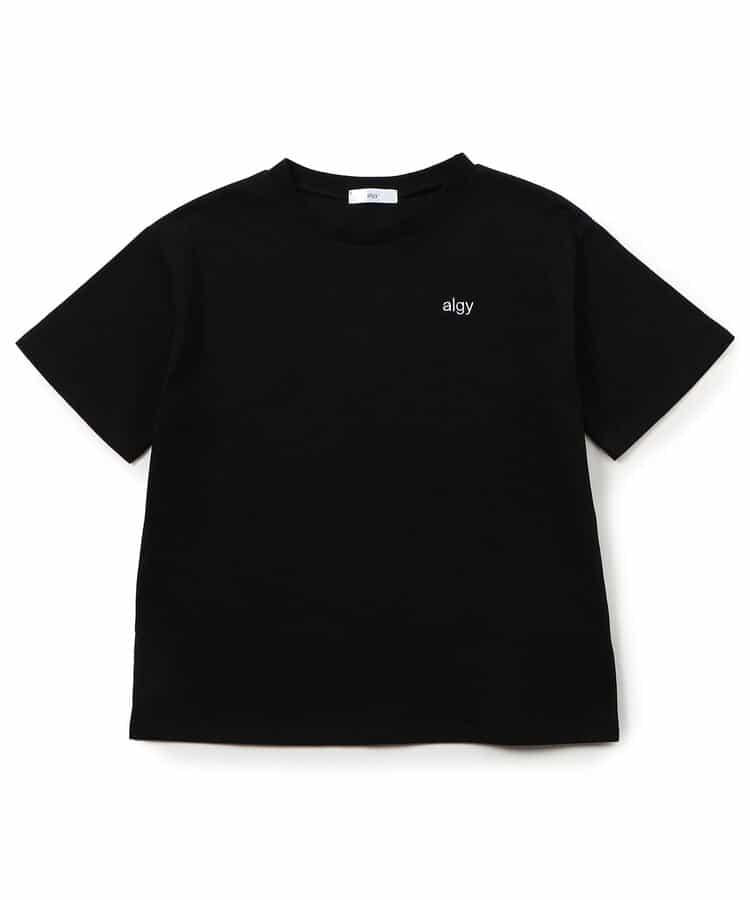 170877815