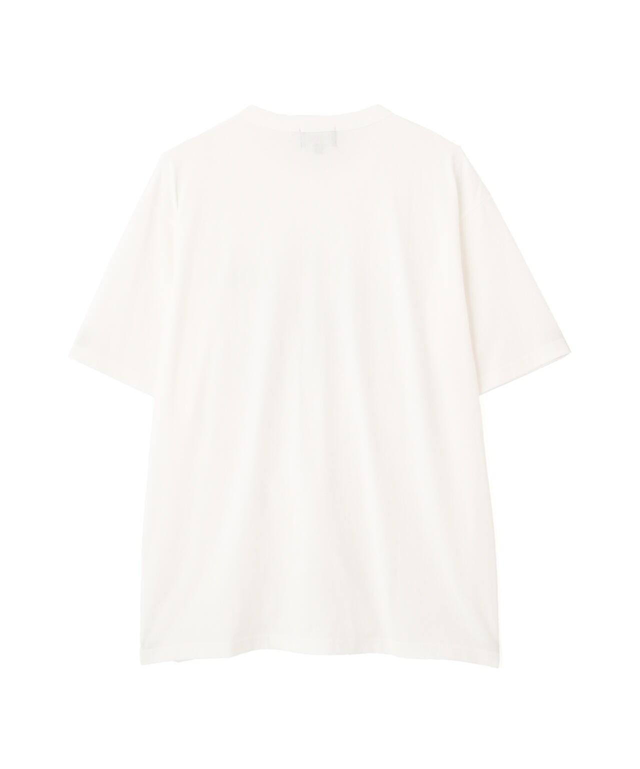155618604