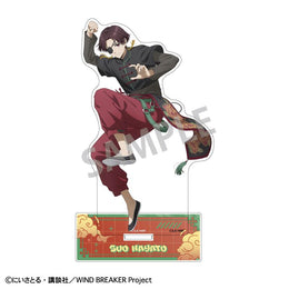 Acrylic Stands