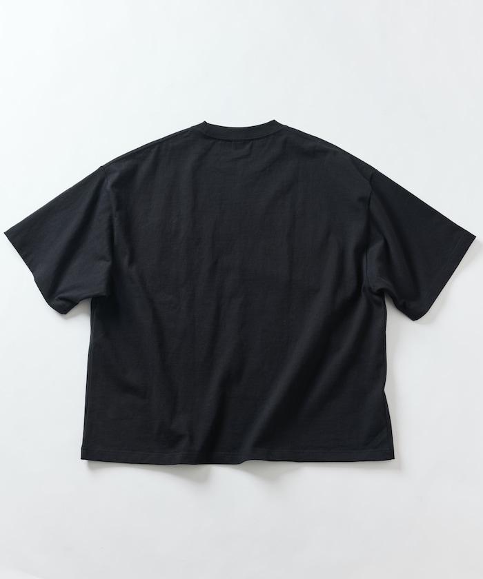 169072252