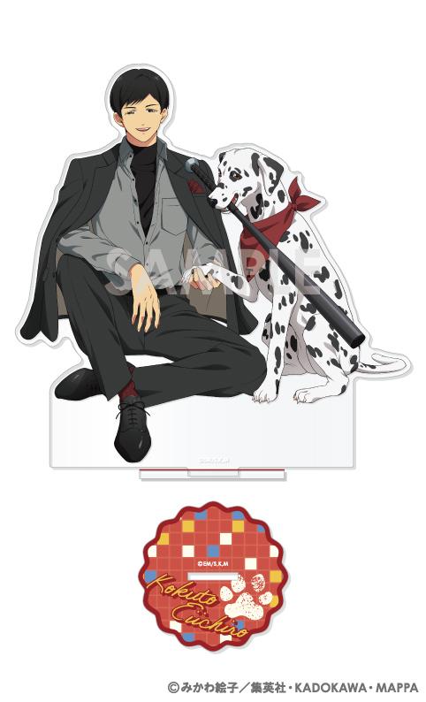262284536